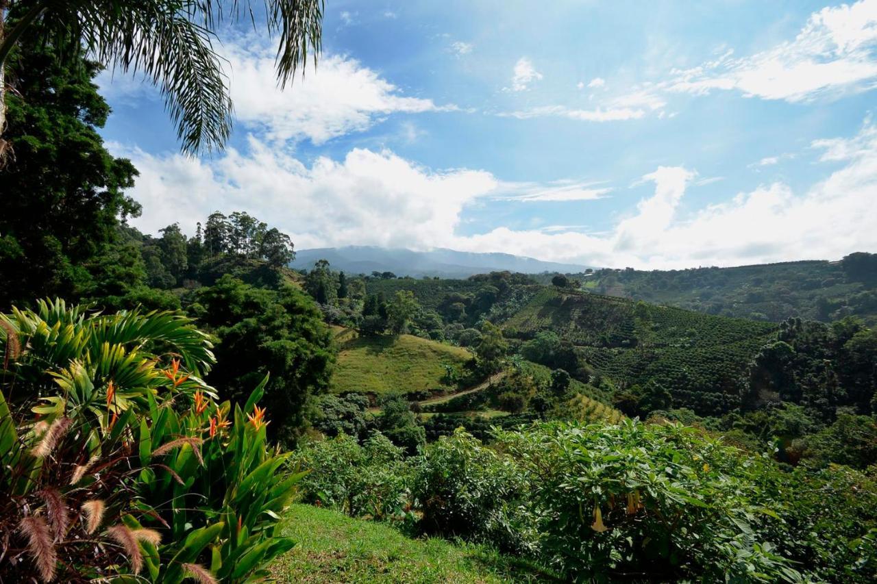 شقة Supercostarica غريسيا المظهر الخارجي الصورة