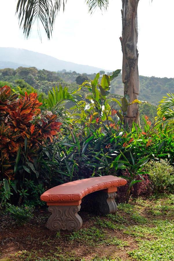 شقة Supercostarica غريسيا المظهر الخارجي الصورة