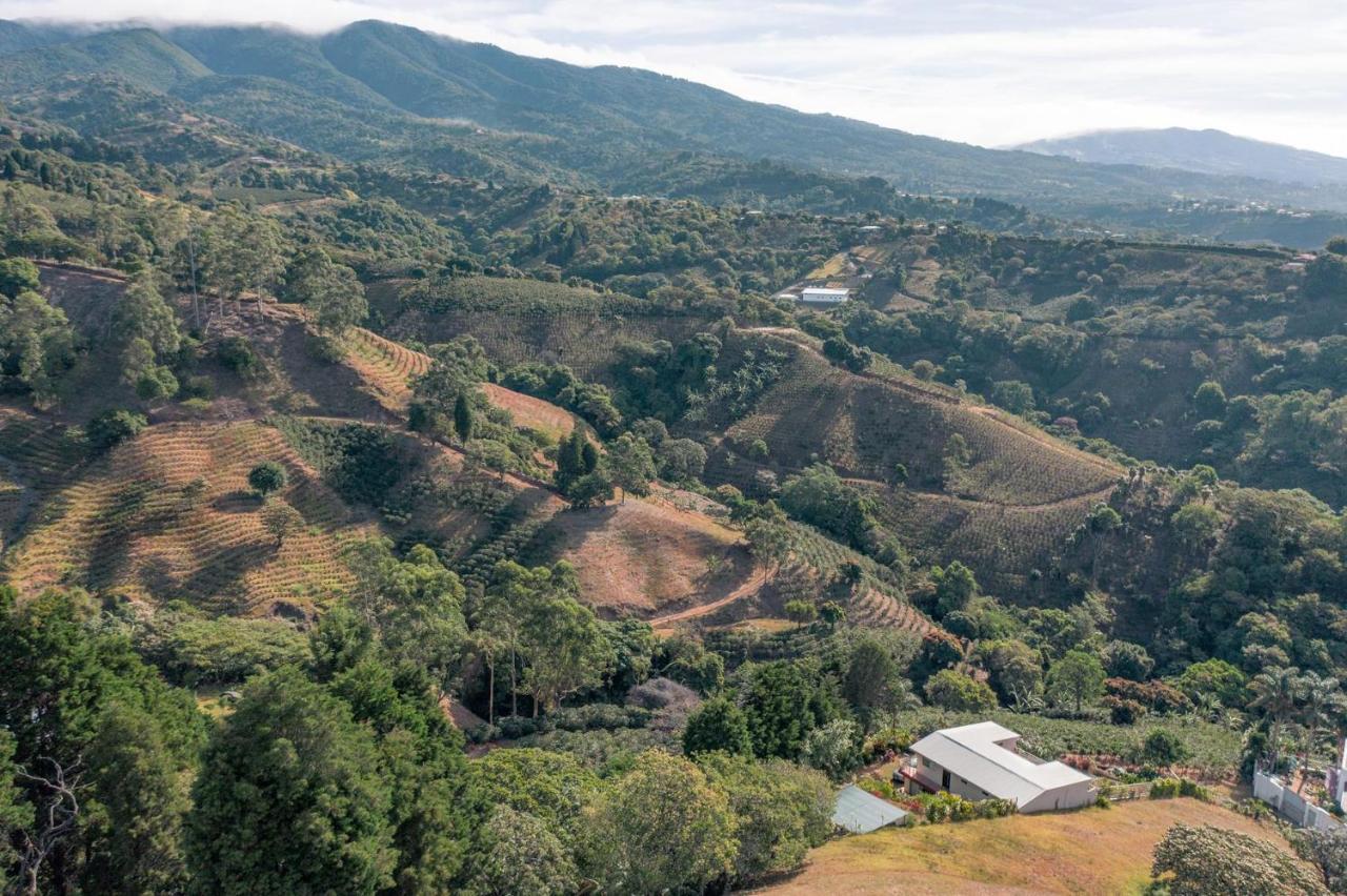 شقة Supercostarica غريسيا المظهر الخارجي الصورة